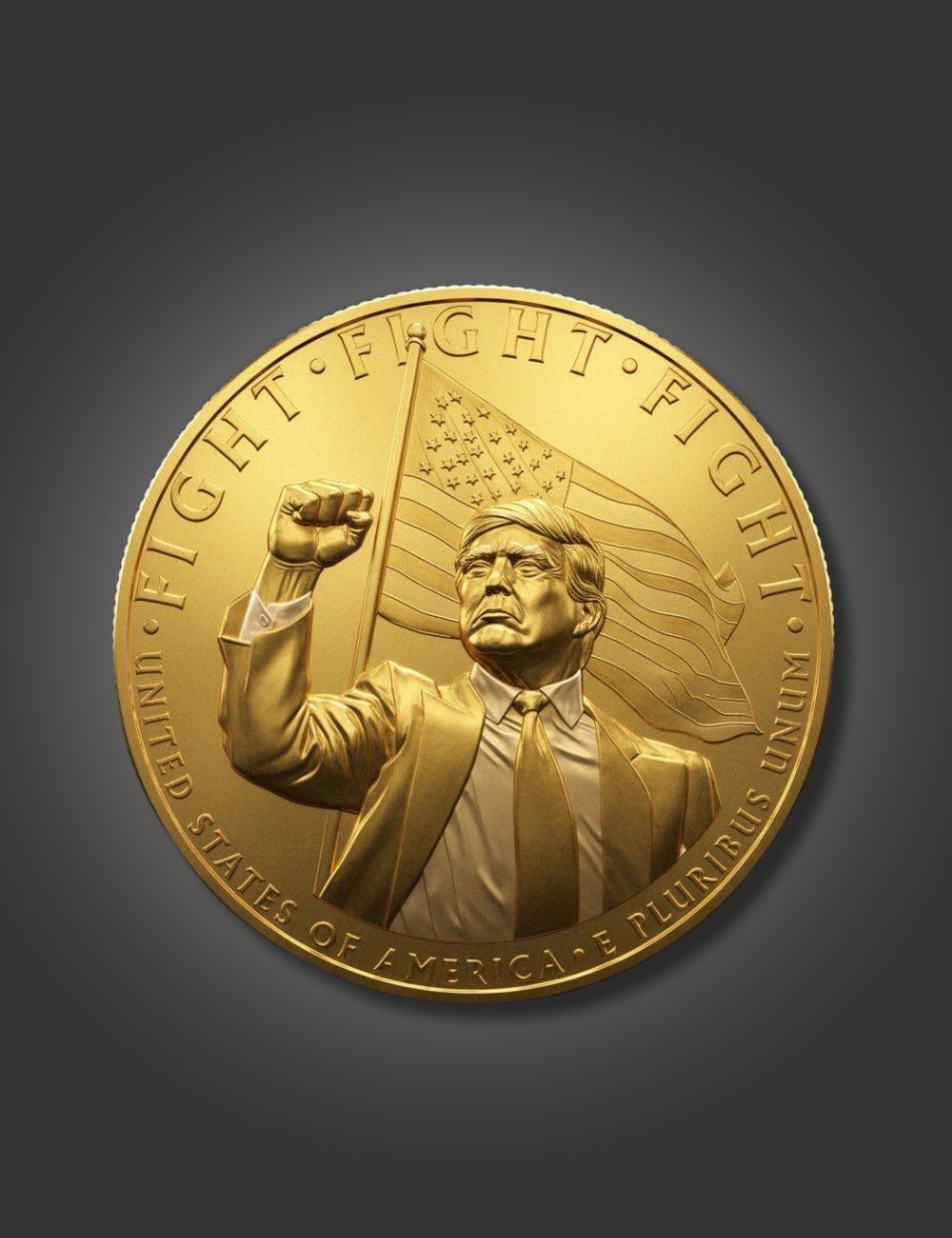 Fight 2025 Coin